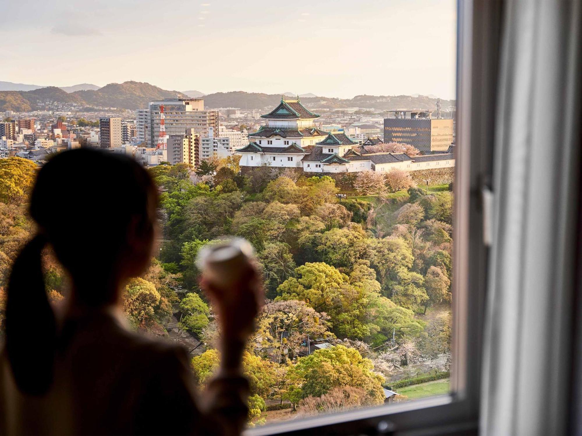 Daiwa Roynet Hotel Вакаяма Экстерьер фото
